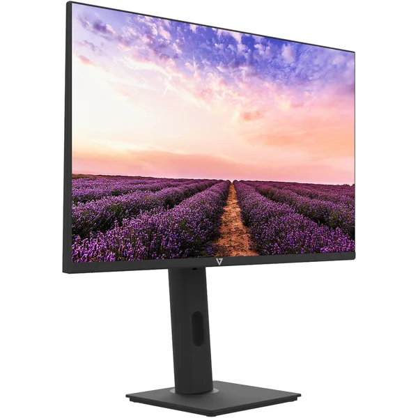 Monitor LS24D400GAUXEN 24inch Full HD IPS 100Hz Negru